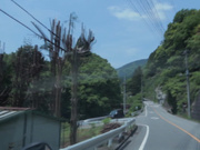 [OLM-054N] 汐河佳奈 BEST HITS - 1of5