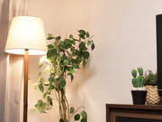 [START-054] 超近距离诱惑我的好朋友的她 小倉由菜【破解】 - 1of5