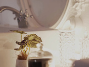 [FSDSS-910] 史上最高ボディがエビ反るイカレ絶頂マッサージ 痙攣イキ性感焦らしオイルエステ 八蜜凛 - 1of5