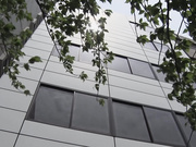 [IPZZ-389] 暴雨夜被淋湿的身体被部下袭击到早上9发湿透的绝伦性交 明里つむぎ【破解】 - 1of5