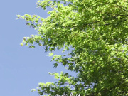 [RCTD-636] 妄想淫ストラクター 現実と妄想の2画面ギャップ変態クロスオーバージム - 1of5