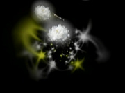 H0930 ki241208 速水 りか 37歳