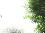 [MVSD-542] 彼女の妹はチ○ポマニアの小悪魔ロ○っ娘モンスター！ 無自覚ちんチラに逆暴走！即パク即ズボ精液バキューム騎乗位ピストン！ 松本いちか【破解】 - 1of5