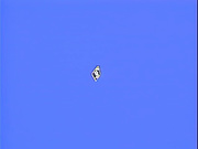 淫獣学園 La☆BlueGirl EX[02][妖恋呪縛篇]