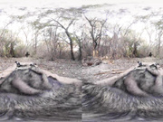 Abigail Getting Pounded From Behind VR PORN