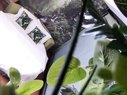 精品推荐小旅店绿叶房偷拍没啥性经验的小伙被长发美眉撸硬鸡巴没搞多久就射了太对不起这开房钱了