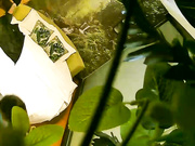 精品小旅馆绿叶房饥渴纹身小伙一进房间就强行按倒妹子搞妹子的身才还不错