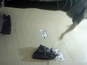 坐盗市最新流出商场全景女厕偷拍其中两个黑丝妹子很有撸点