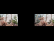 Haarige Fotze Fick VR POV