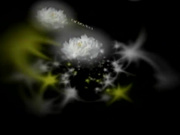 H0930 ki180715三浦知里40歳年齢40歳身長160cm