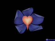 按摩室里内射小胸美容师