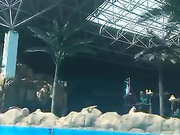 大胆女顾客国内某大型室内温泉酒店暗藏录像机TP女宾更衣间内部春色妹子真勇敢