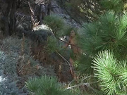 妹子很漂亮气质心动受不了想操啪啪作品《保拉的诱惑1975高清版》激情佳作 经典复古