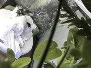 有点痞的色男进屋就迫不及待的想要亲热殷勤的帮忙脱衣上床开战长发妹子屁股肥大啊啊嗲叫不止给干到高潮了