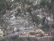 最新流出北京天使『XIZI』上海之旅 复旦大学 全裸园林阶梯教室极限露出 超清