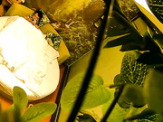 自然房两对年轻学生情侣开房四眼男送走朋友后赶忙与女友大战6个半小时超长时间录制又吃又喝又干也不知道搞了多少炮