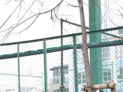 [BEB-109] 不穿内裤诱惑痴女教师 紅音レイラ【破解】 - 1of5