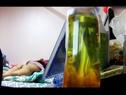 家庭網絡攝像頭破解拍攝到的年輕小夫妻激情造愛 叫聲太給力 把寵物狗得引來了 1080P高清原版