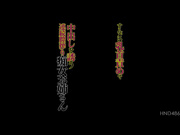 [HND-486] 乳头责备引诱中出的连续阴道榨取痴女姐姐 河南実里 - 1of5