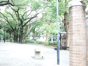 [ABP-073] 水咲ローラ到我肮脏的公寓里【BVPP模型破解】 - 1of5